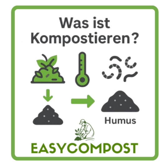 Symbolbild: Was ist Kompostieren – natürliche Zersetzung organischer Abfälle